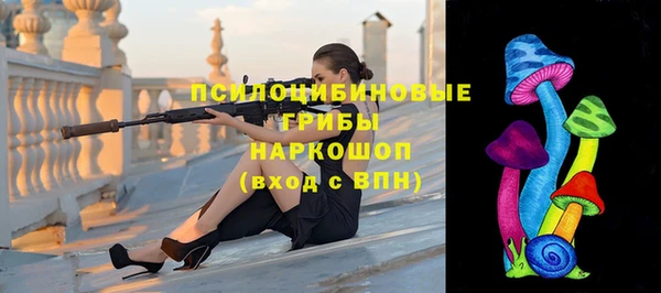 сатива Белокуриха