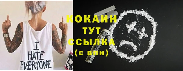 сатива Белокуриха