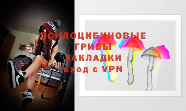 ешки Протвино