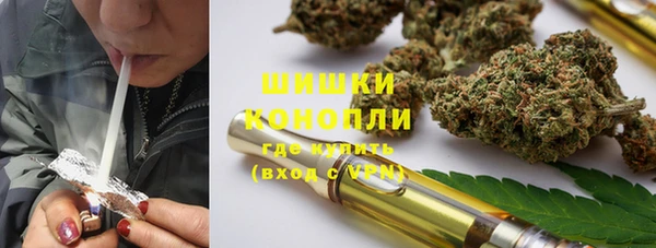 сатива Белокуриха